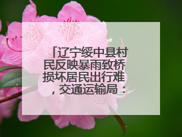 辽宁绥中县村民反映暴雨致桥损坏居民出行难，交通运输局：保证处理好