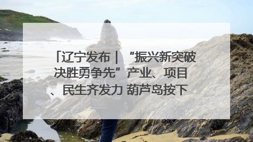 辽宁发布｜“振兴新突破 决胜勇争先”产业、项目、民生齐发力 葫芦岛按下决胜之年“加速键”