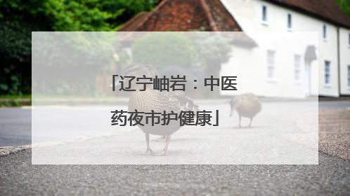 辽宁岫岩：中医药夜市护健康
