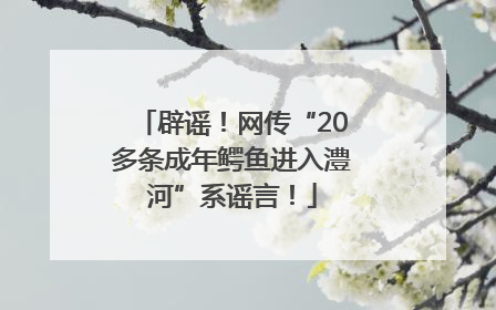 辟谣！网传“20多条成年鳄鱼进入澧河”系谣言！
