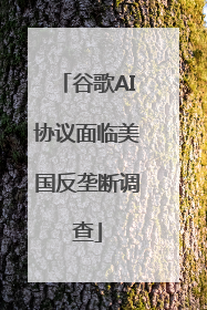 谷歌AI协议面临美国反垄断调查