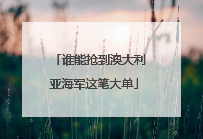 谁能抢到澳大利亚海军这笔大单