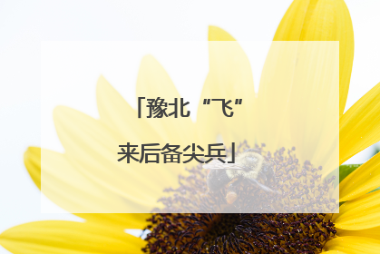豫北“飞”来后备尖兵