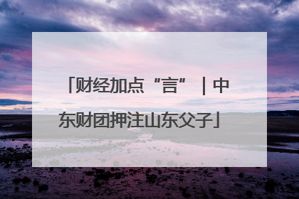 财经加点“言”｜中东财团押注山东父子