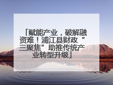 赋能产业，破解融资难！浦江县财政“三聚焦”助推传统产业转型升级