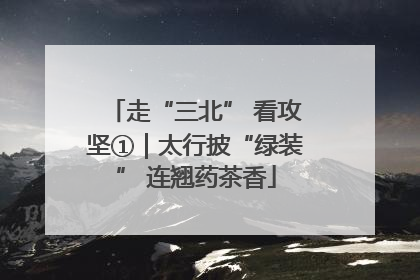 走“三北” 看攻坚①｜太行披“绿装” 连翘药茶香