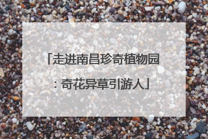 走进南昌珍奇植物园：奇花异草引游人