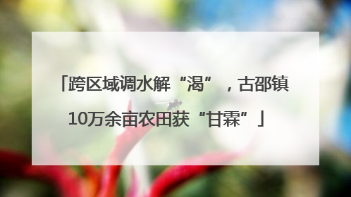 跨区域调水解“渴”，古邵镇10万余亩农田获“甘霖”