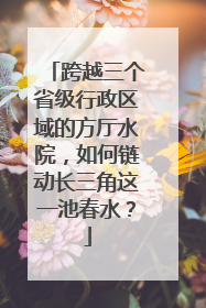 跨越三个省级行政区域的方厅水院，如何链动长三角这一池春水？