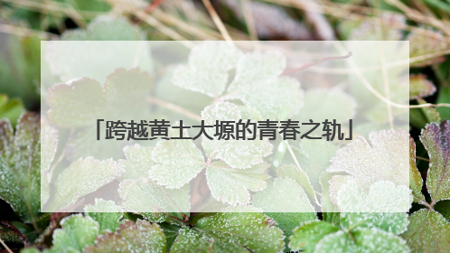 跨越黄土大塬的青春之轨