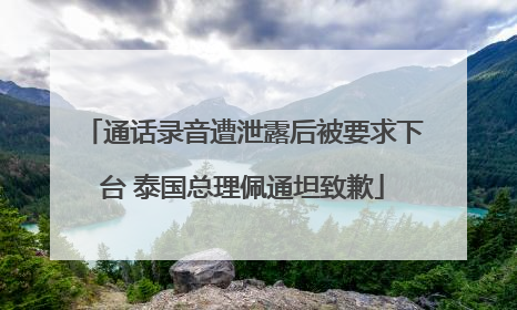 通话录音遭泄露后被要求下台 泰国总理佩通坦致歉