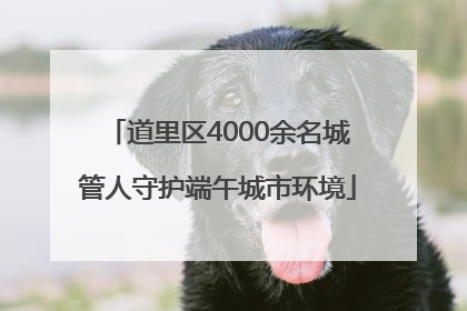 道里区4000余名城管人守护端午城市环境