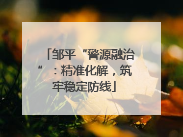 邹平“警源融治”：精准化解，筑牢稳定防线