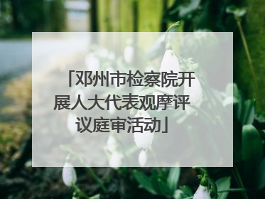 邓州市检察院开展人大代表观摩评议庭审活动