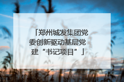 郑州城发集团党委创新驱动基层党建“书记项目”