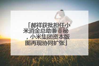 郝祥获批担任小米消金总助兼董秘，小米集团资本版图再现协同扩张