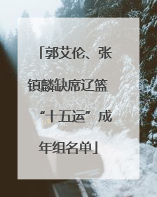 郭艾伦、张镇麟缺席辽篮“十五运”成年组名单