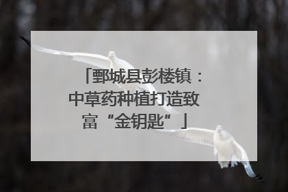 鄄城县彭楼镇：中草药种植打造致富“金钥匙”