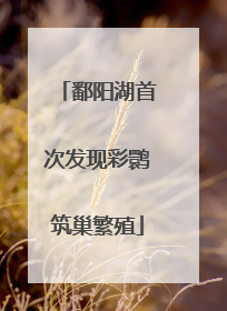 鄱阳湖首次发现彩鹮筑巢繁殖