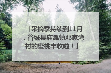 采摘季持续到11月，谷城县庙滩镇邓家湾村的蜜桃丰收啦！