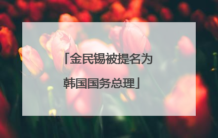 金民锡被提名为韩国国务总理