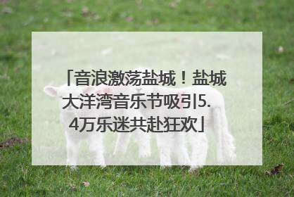 音浪激荡盐城！盐城大洋湾音乐节吸引5.4万乐迷共赴狂欢