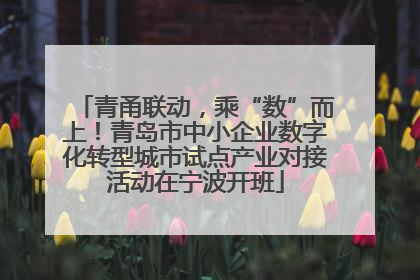 青甬联动，乘“数”而上！青岛市中小企业数字化转型城市试点产业对接活动在宁波开班