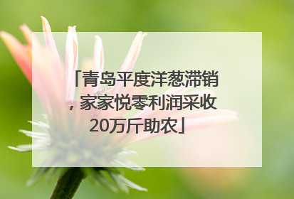 青岛平度洋葱滞销，家家悦零利润采收20万斤助农