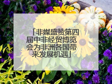 非媒盛赞第四届中非经贸博览会为非洲各国带来发展机遇