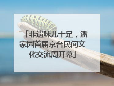 非遗味儿十足，潘家园首届京台民间文化交流周开幕