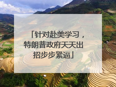 针对赴美学习，特朗普政府天天出招步步紧逼