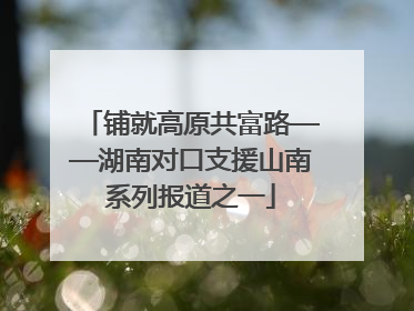 铺就高原共富路——湖南对口支援山南系列报道之一