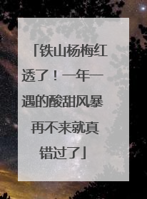 铁山杨梅红透了！一年一遇的酸甜风暴 再不来就真错过了