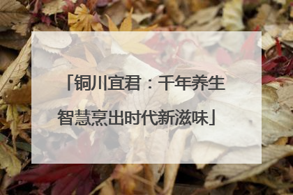 铜川宜君：千年养生智慧烹出时代新滋味