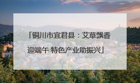 铜川市宜君县：艾草飘香迎端午 特色产业助振兴