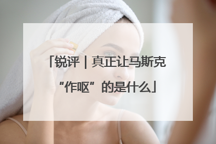 锐评｜真正让马斯克“作呕”的是什么
