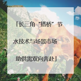 长三角“搭桥”节水技术与场景市场 助供需双向奔赴
