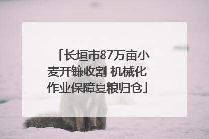 长垣市87万亩小麦开镰收割 机械化作业保障夏粮归仓