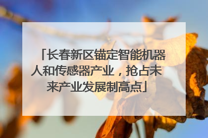 长春新区锚定智能机器人和传感器产业，抢占未来产业发展制高点