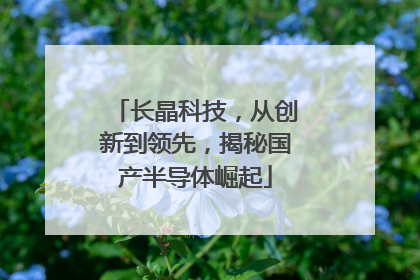 长晶科技，从创新到领先，揭秘国产半导体崛起
