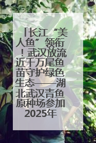 长江“美人鱼”领衔！武汉放流近千万尾鱼苗守护绿色生态——湖北武汉青鱼原种场参加2025年“全国放鱼日”增殖放流活动
