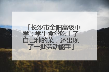 长沙市金阳高级中学：学生食堂吃上了自己种的菜，还出现了一批劳动能手