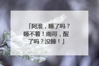 阿淮，睡了吗？睡不着！南哥，醒了吗？没睡！