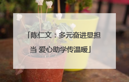 陈仁文：多元奋进显担当 爱心助学传温暖