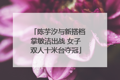陈芋汐与新搭档掌敏洁出战 女子双人十米台夺冠