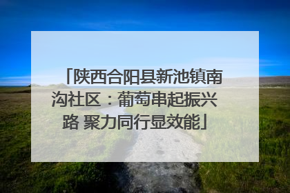 陕西合阳县新池镇南沟社区：葡萄串起振兴路 聚力同行显效能
