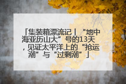集装箱漂流记丨“地中海亚历山大”号的13天，见证太平洋上的“抢运潮”与“过剩潮”