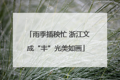 雨季插秧忙 浙江文成“丰”光美如画