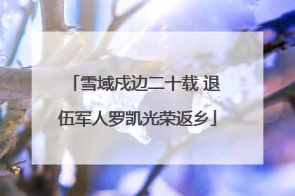 雪域戍边二十载 退伍军人罗凯光荣返乡