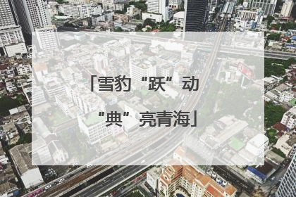 雪豹“跃”动 “典”亮青海